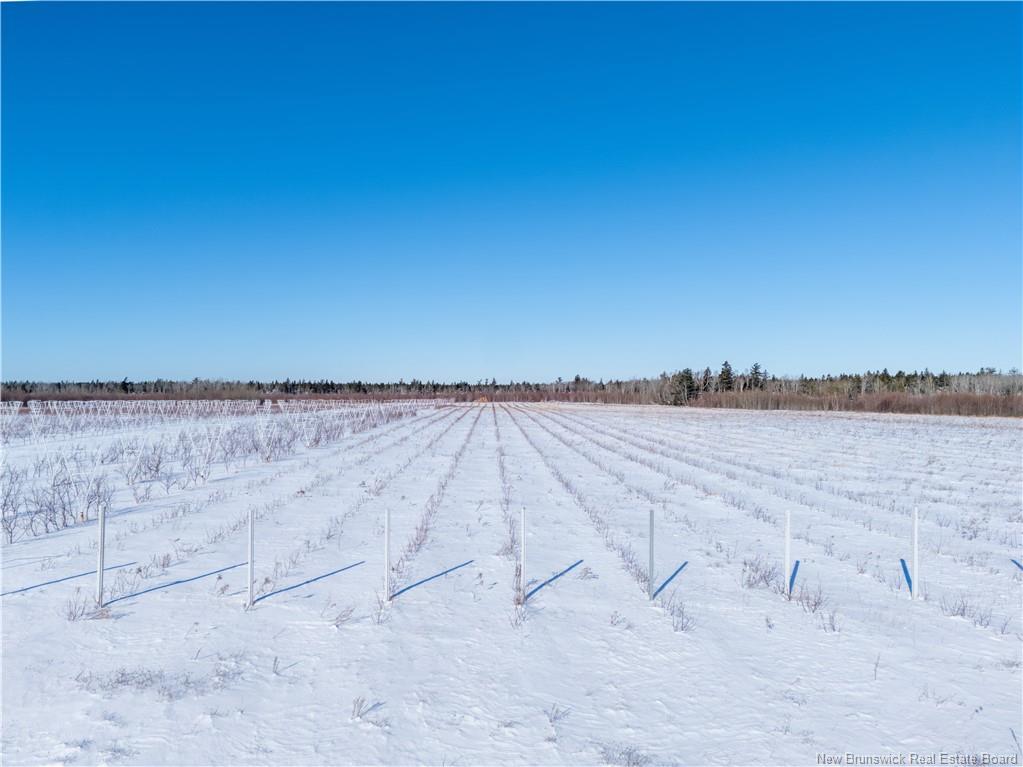 Land in Sainte-Anne-De-Kent 3
