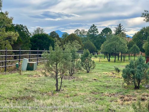 196 Eagle Ridge Rd, Alto, NM, 88312-8056 | Card Image
