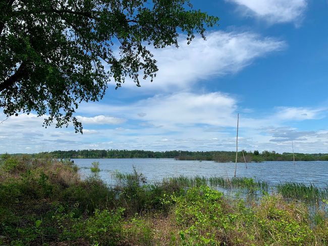 3200 Shadow Pine Dr, Home with 0 bedrooms, 0 bathrooms and null parking in LaRue TX | Image 14