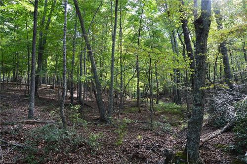 tract-e-Tract E Hanging Rock Forest Rd, Danbury, NC, 27016 | Card Image