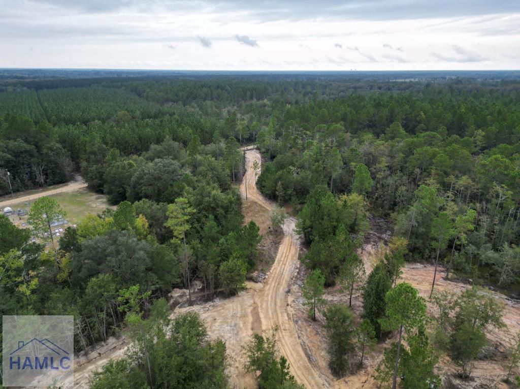 Land in Jesup 4