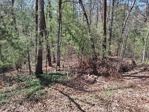 10 John Boy Trl, Sevierville, TN, 37862 | Card Image