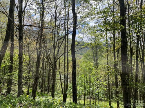 lot-d-000 Peregrine Ln, Bakersville, NC, 28705 | Card Image