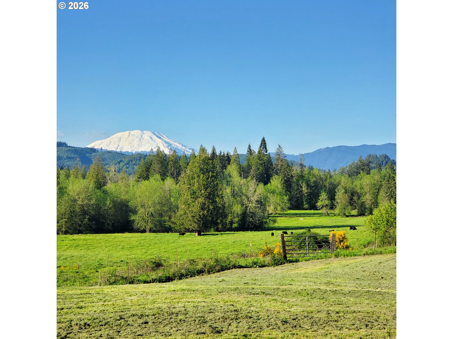 Residential in Amboy 4