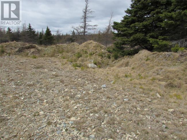 45 New Line Road, Home with 0 bedrooms, 0 bathrooms and null parking in Colliers NL | Image 29