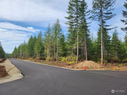 0 Lot 1 Div 1 Raven Lane, Elma, WA, 98541 | Card Image