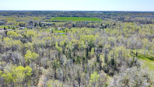 42 Ellisview Rd, House other with 4 bedrooms, 4 bathrooms and 12 parking in Georgina ON | Image 48