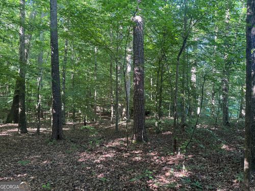 435 N Highway 27, Roopville, GA, 30170 | Card Image