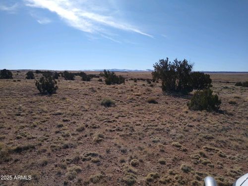 216-000 N6474 --, St Johns, AZ, 85936 | Card Image