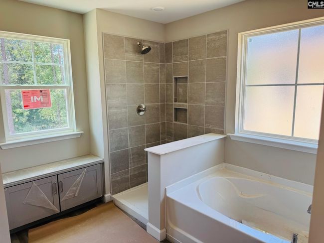 314 Rising Stream Way, House other with 4 bedrooms, 3 bathrooms and null parking in Chapin SC | Image 7