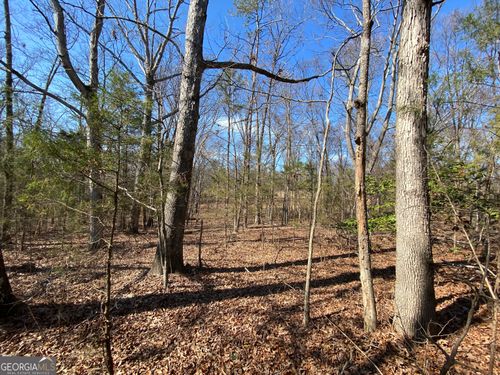 LOT 6 Majestic Shores Rd, Hartwell, GA, 30643 | Card Image