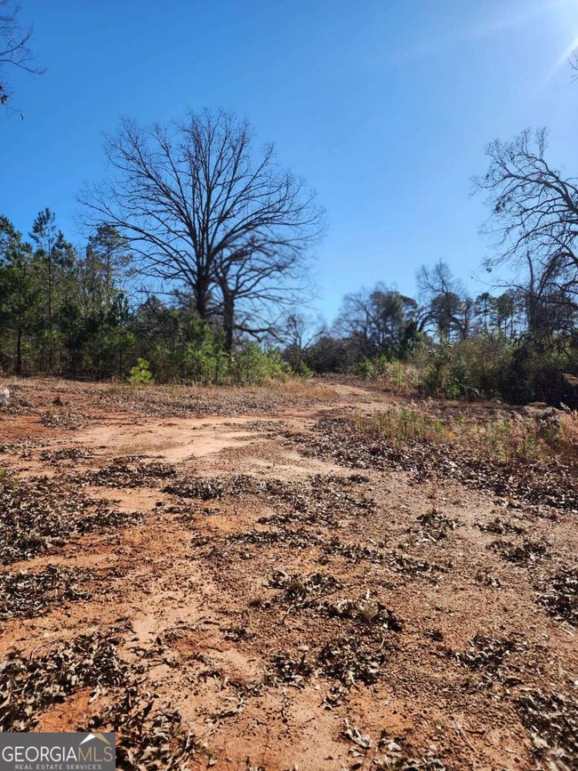 9474 Broad St, Home with 0 bedrooms, 0 bathrooms and null parking in Avera GA | Image 20