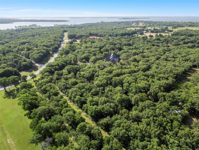 Aerial view of a forest and a nearby body of water | Image 8
