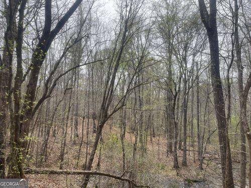 0 Mary Johnson Dr, Franklin, GA, 30217 | Card Image