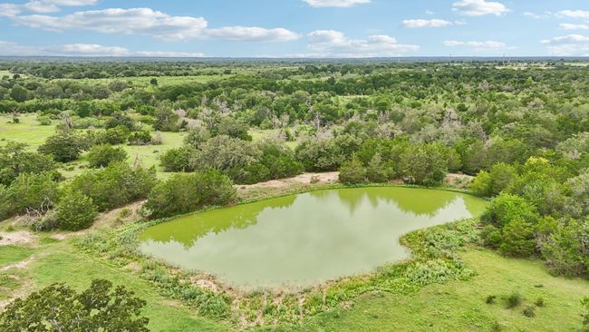 Drone / aerial view of a forest | Image 25