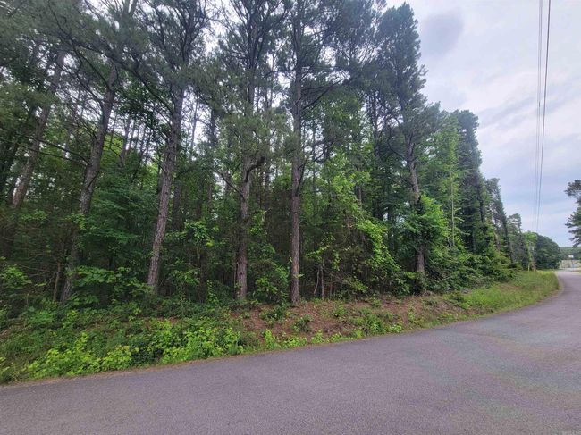 266 Mariposa Loop, Home with 0 bedrooms, 0 bathrooms and null parking in Bee Branch AR | Image 5