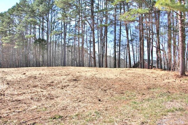 Lot 80 &amp; 81 Cherokee Road, Home with 0 bedrooms, 0 bathrooms and null parking in Lucas KY | Image 6