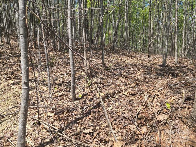 Lot 32 High Rock Rdg, Home with 0 bedrooms, 0 bathrooms and null parking in Lake Lure NC | Image 13