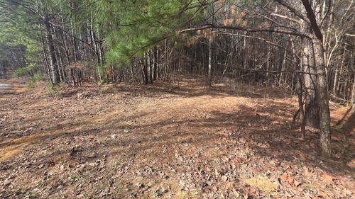 180 Rock Creek Dr, Old Fort, TN, 37362-7665 | Card Image