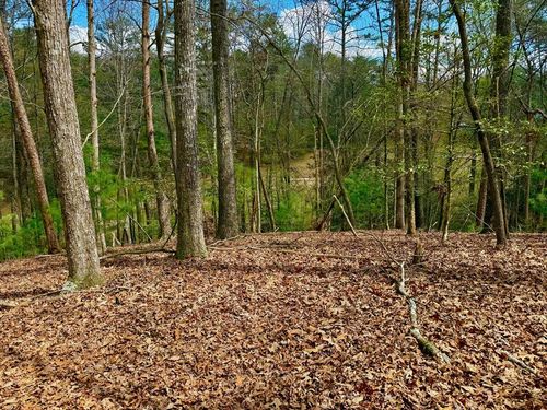 739 Hiawassee Court, Ellijay, GA, 30540 | Card Image