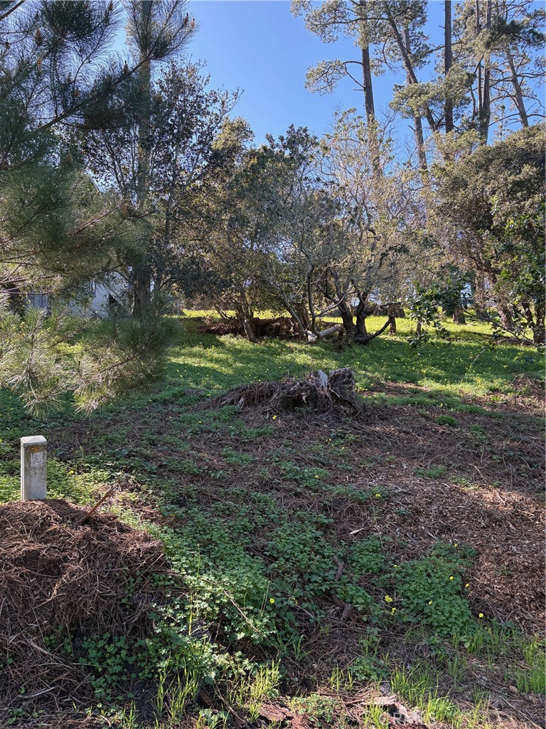 Land in Cambria 3