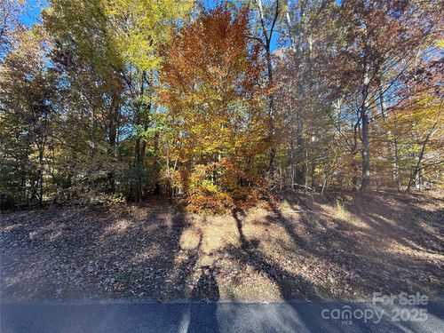 Lot Amesbury Drive, Mt Ulla, NC, 28125 | Card Image
