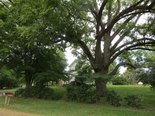 5248 Pittsburg Rd, Laingsburg, MI, 48848-9710 | Card Image