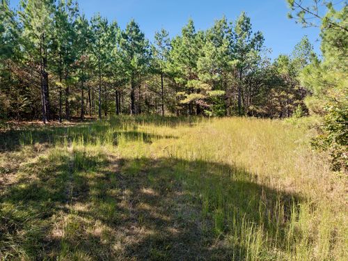 0 Cox Hollow Rd, Dover, TN, 37058 | Card Image