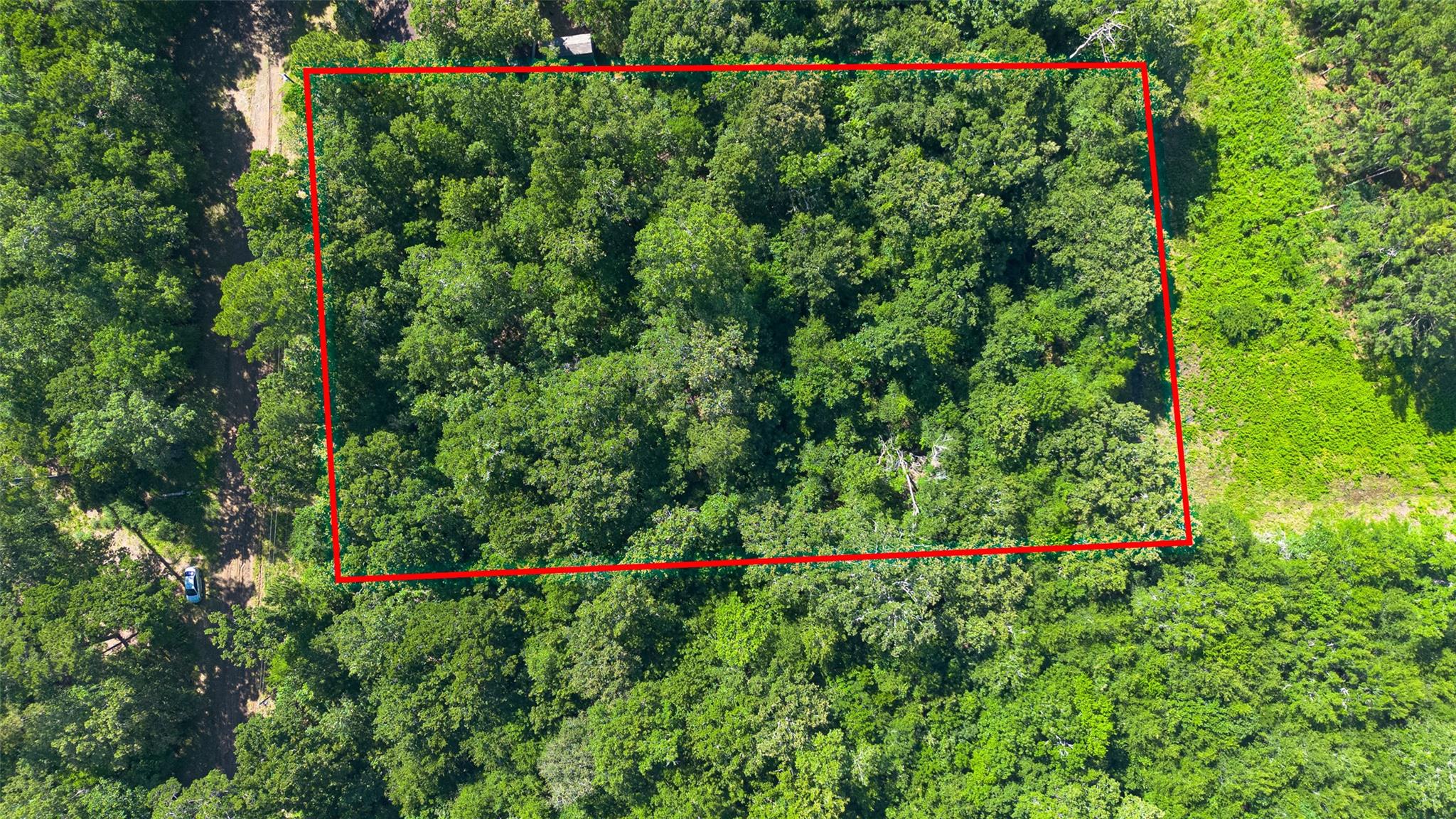 Land in Livingston 2