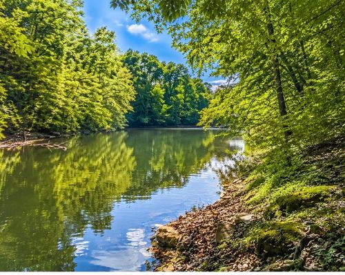 0 Elklore Ave, Estill Springs, TN, 37330 | Card Image