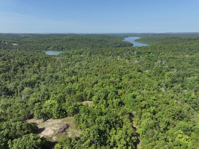 dji_fly_20250620_102042_0008_17504331158 | Image 38
