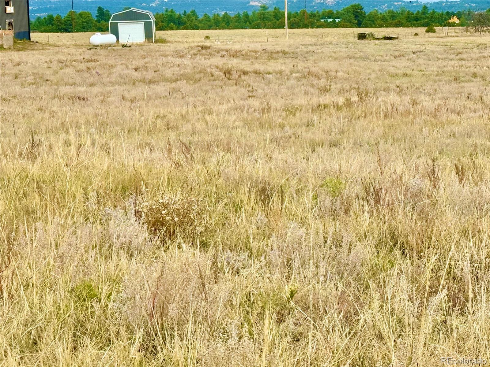 Land in Westcliffe 2