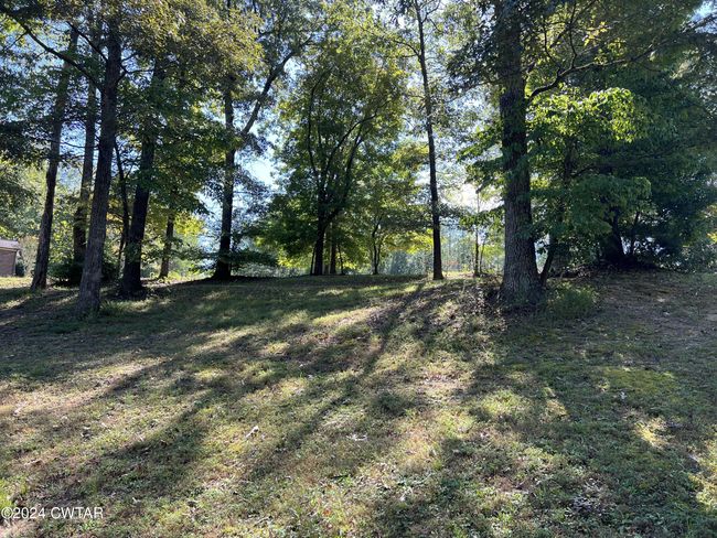 000 Cypress Cv, Home with 0 bedrooms, 0 bathrooms and null parking in Lexington TN | Image 18