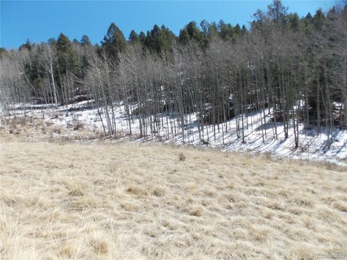 388 Grey Eagle Dr, Cripple Creek, CO, 80813 | Card Image