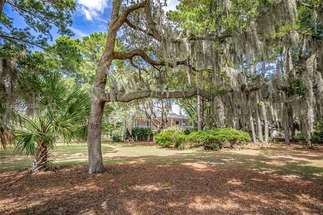 View of yard | Image 50