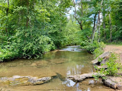 75.33 acres Rose Trail, Melbourne, AR, 72556 | Card Image