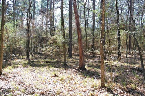 5 Magnolia Ct, Trinity, TX, 75862 | Card Image