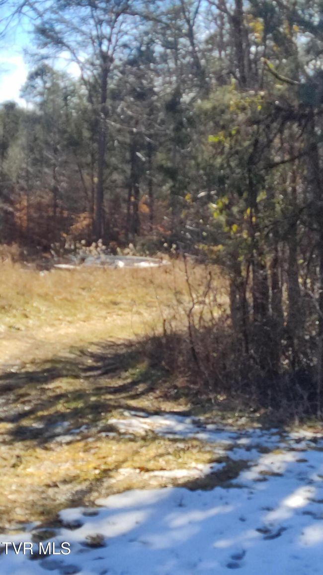 This picture shows entrance to property and clearing | Image 6