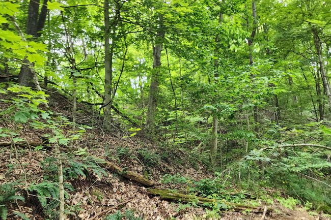 TRACT-3 - 0 Back Run Rd, Home with 0 bedrooms, 0 bathrooms and null parking in Philo OH | Image 30