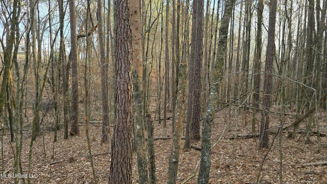 20250128_161029 | Image 34