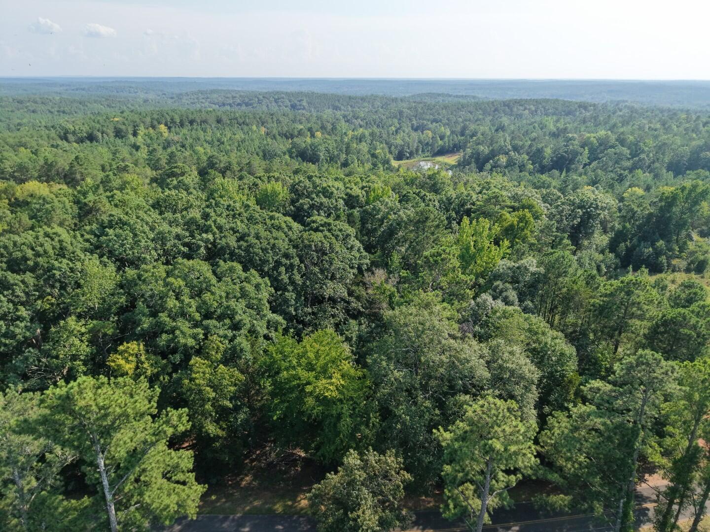 Land in Winnsboro 4