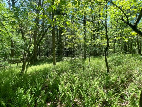 19 Brook Drive, Tusten, NY, 12764 | Card Image