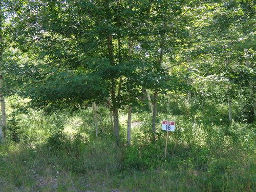 Lot 16 Bailey Mountain Dr, Franklin, ME, 04634 | Card Image