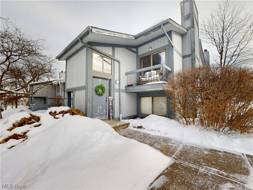 7047 Bristlewood Drive, Painesville, OH, 44077 | Card Image