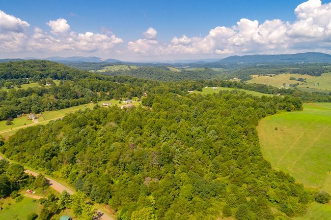 Lot 22 Lone Ash Rd, Home with 0 bedrooms, 0 bathrooms and null parking in Barren Springs VA | Image 22