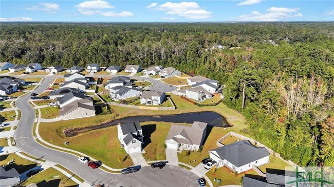 145 Nettleton Ln, House other with 5 bedrooms, 3 bathrooms and null parking in Richmond Hill GA | Image 49