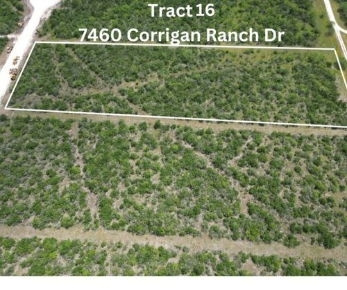 7450 Corrigan Ranch Drive- Tract 16, Skidmore, TX, 78389 | Card Image