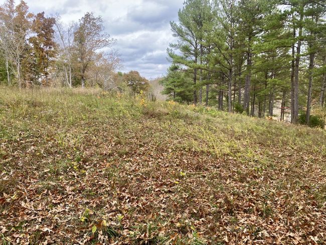427 Blooming Grove Rd, House other with 2 bedrooms, 2 bathrooms and null parking in Five Points TN | Image 23
