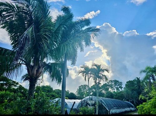 3730 161st Ter N, Loxahatchee, FL, 33470-3819 | Card Image