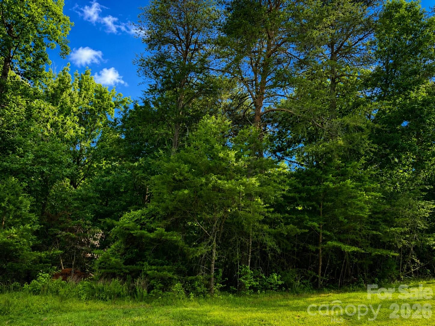 Land in New London 3